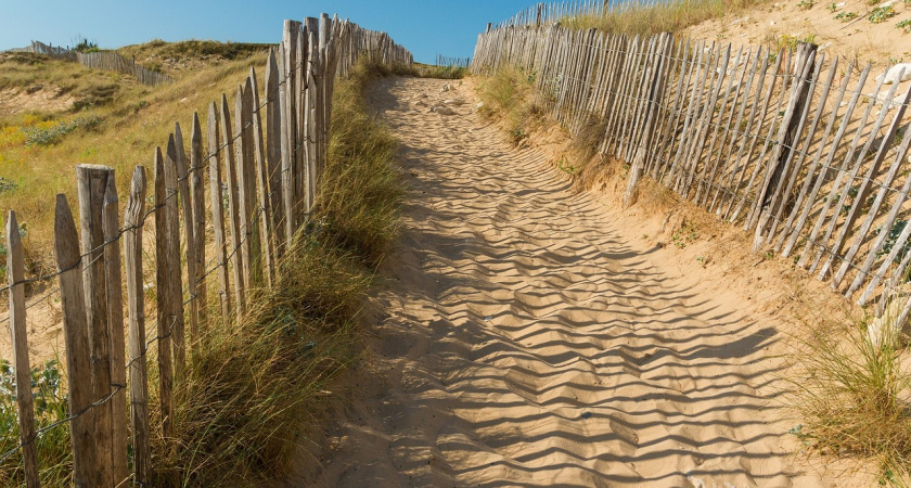 За запущенные земли липецкую компанию «Агрохолдинг-АСТ» наказали штрафом на 200 тыс. рублей