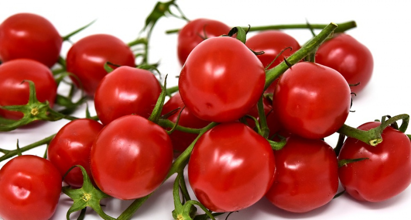 Агропромышленный холдинг «ЭКО-культура» запустит распределительный центр в Липецке