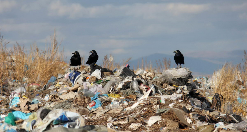 В Липецкой области ликвидировали 133 незаконных свалки