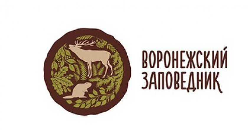 «Погоревший» на кредитах в Липецкой области Сергей Кокорев лишился кресла директора Воронежского заповедника