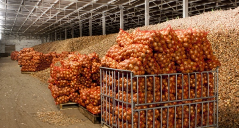 Компания «Агрорегион» выставила на продажу недостроенное овощехранилище в Липецкой области за 550 млн рублей