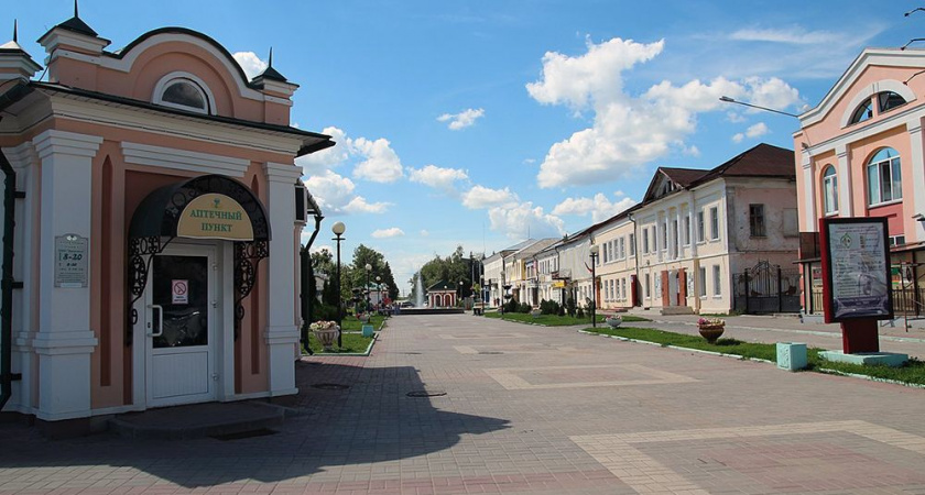СМС-пропуск для выхода на улицу с сегодняшнего дня потребуется жителям Лебедяни