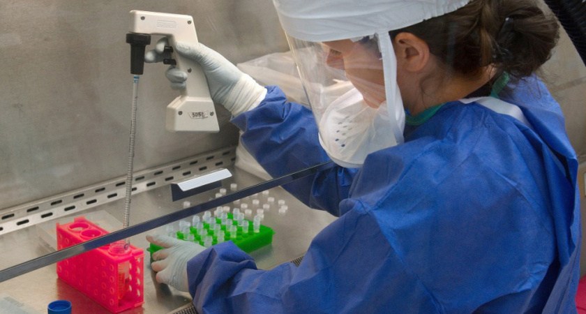 За майские праздники заболевших коронавирусом в Липецкой области стало больше почти на 200 человек