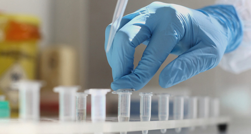 Количество заболевших COVID-19 в Липецкой области перевалило за 700 человек