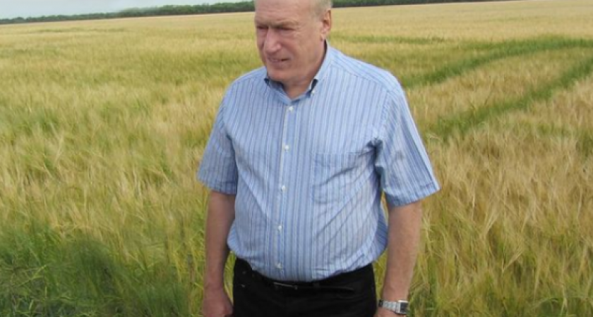 Глава Грязинского района получил представление от прокуратуры за «кладбищенскую» школу