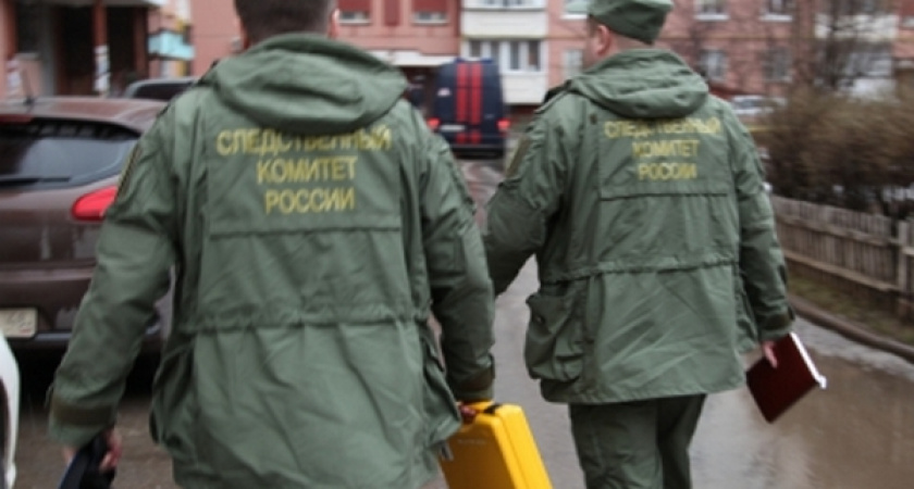Липецкие следователи возбудили уголовное дело по факту мошенничества и подлога руководителей колледжа