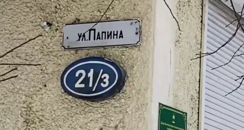 Жителей многоквартирного дома в Липецке атакуют полчища кровососущих насекомых