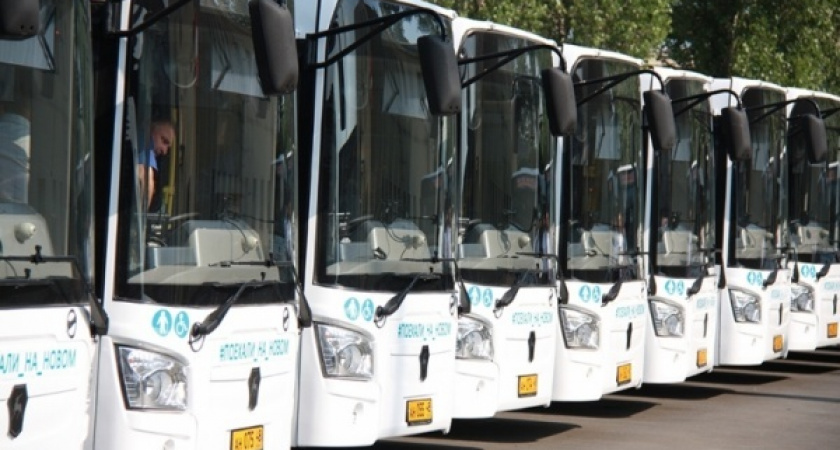 Липецк купит новые газомоторные автобусы в рамках нацпроекта за 1,3 млрд рублей
