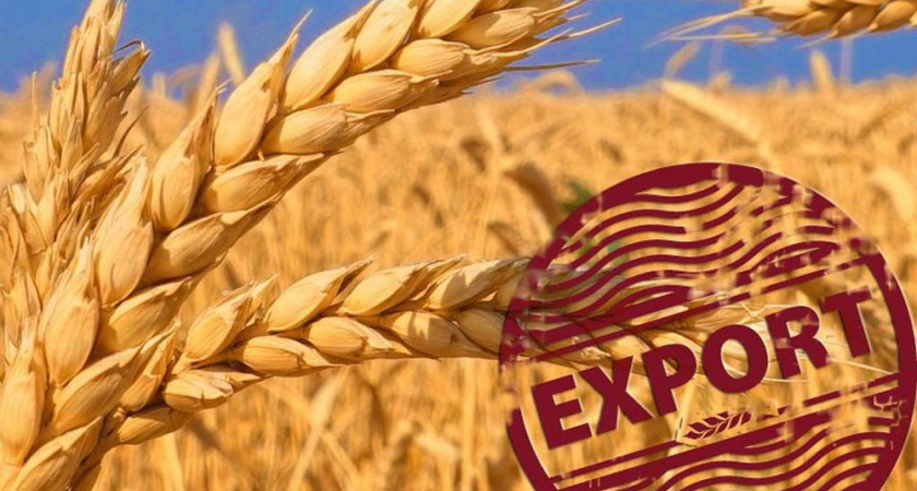 Липецкие аграрии увеличили экспорт продукции до 461 млн долларов