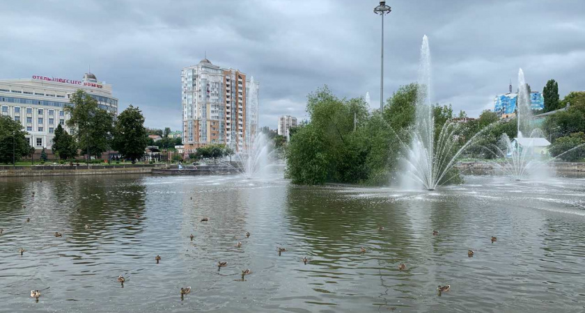 В Липецке ищут подрядчика для очистки Комсомольского пруда за 33 млн рублей