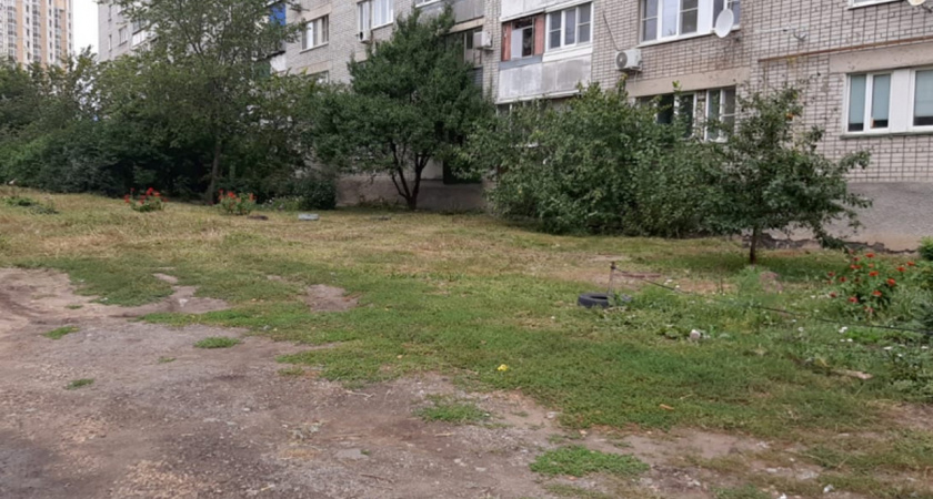 В Липецке после предписания УК пришлось окосить территорию вокруг дома