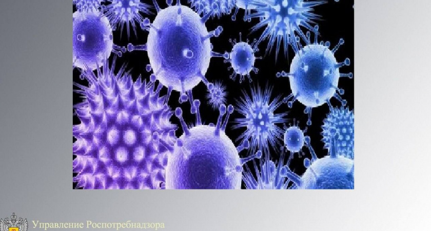 В Липецкой области зарегистрирован рост заболеваемости коронавирусом 