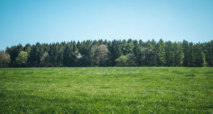 Торги по продаже земельных участков разорившейся Липецкой ипотечной корпорации признаны несостоявшимися