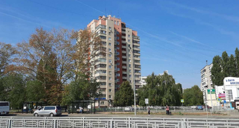 В Липецке за 5 млн рублей спилят деревья на территории Военного городка и проспекте Победы