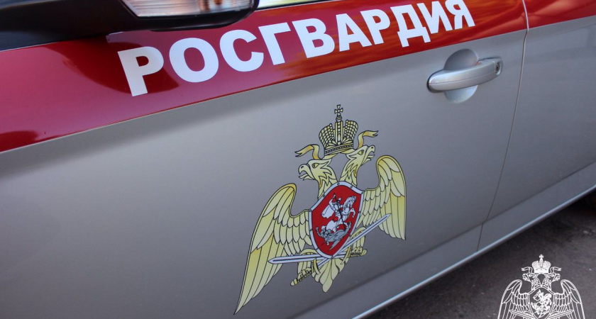 В ста липецких автобусах установлены тревожные кнопки