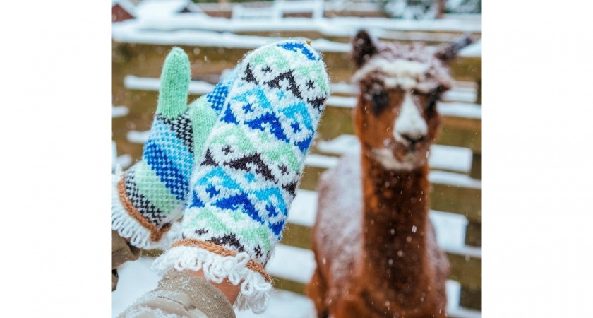 Проект «От ба» ищет мастериц из Липецка