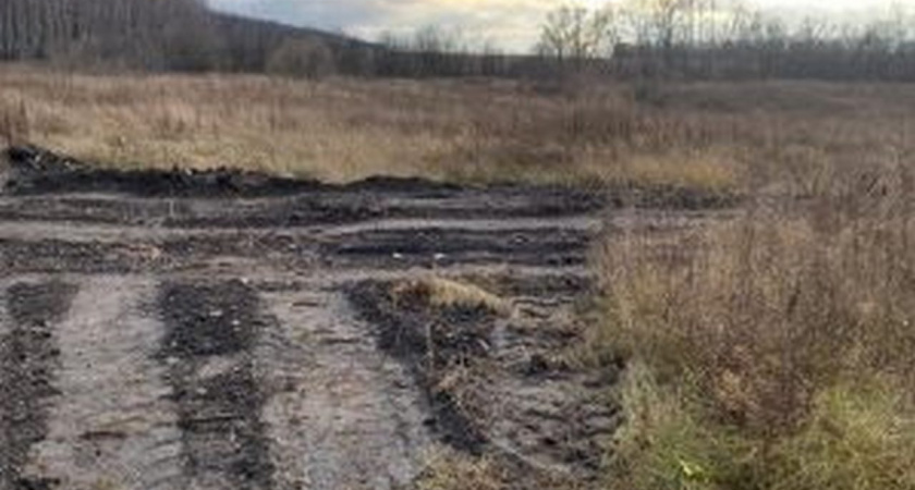 «АгроЛипецк» после предостережения Россельхознадзора ликвидировал несанкционированную свалку