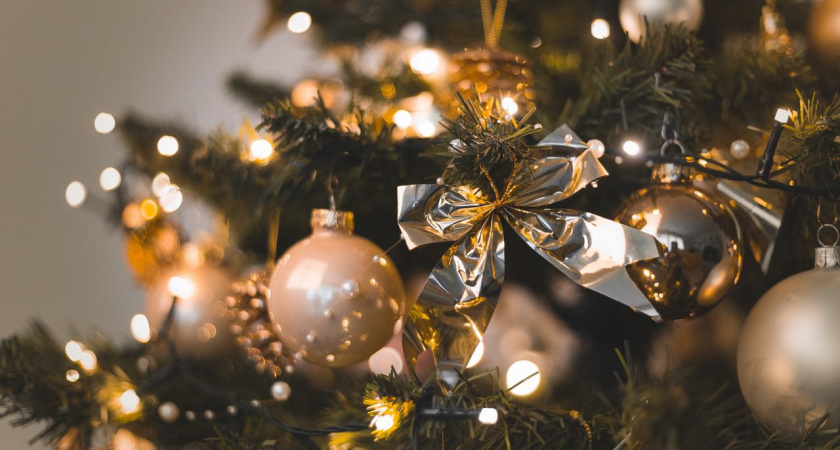 Липчане стали чаще ездить в «сказочную» резиденцию Деда Мороза