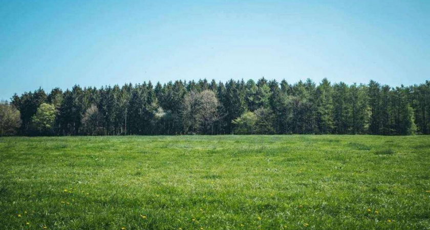 Земли Липецкой ипотечной корпорации выкупили за 341 млн рублей