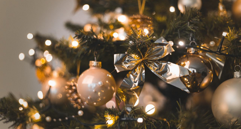 Редакция Lipetsknews поздравляет своих читателей с наступающим 2024 годом!