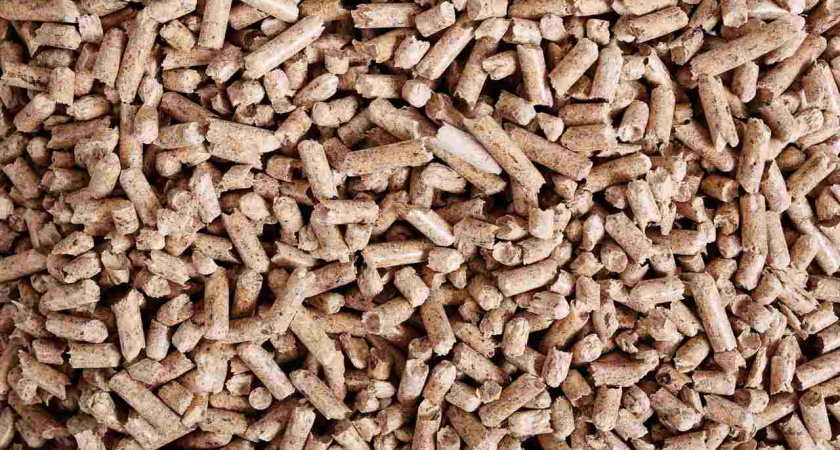 С начала 2024 года из Липецкой области отправили в Латвию более 7 тыс. тонн кормов 