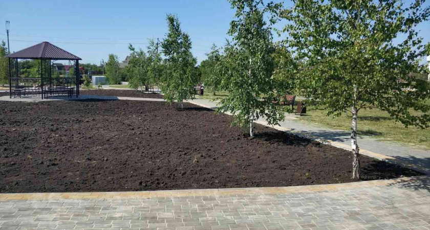 В Липецкой области за сорванный контракт по обустройству парка «Центральный» подрядчик заплатит штраф