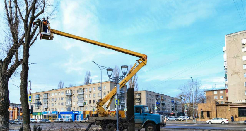 В Липецке планируют снести более 4000 аварийных деревьев