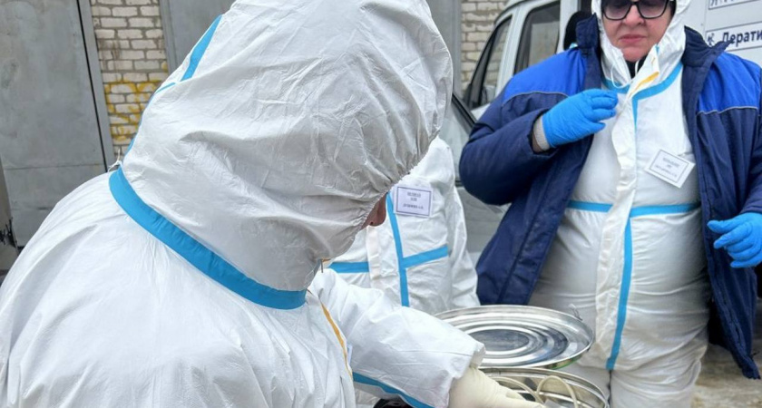В Липецкой области прошли учения по ликвидации вспышки сибирской язвы во время половодья