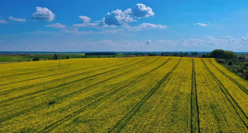 В липецких хозяйствах проверяют готовность техники и наличие семян к весенним полевым работам