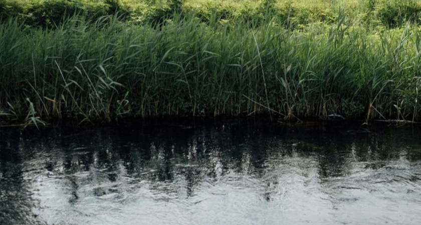 В Липецкой области расчистят пруд за 2,4 млн рублей