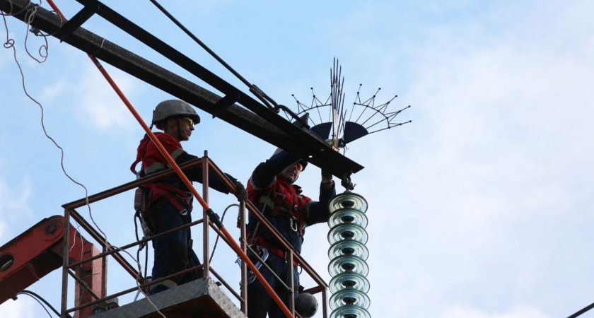 Магистральные ЛЭП Липецкой области оснастят птицезащитными устройствами