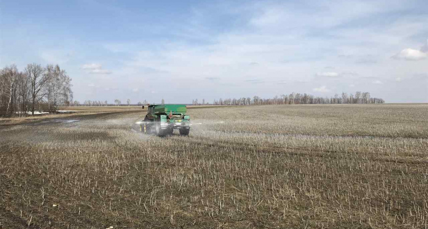 В Липецкой области подкормлено 60 тысяч гектаров озимых
