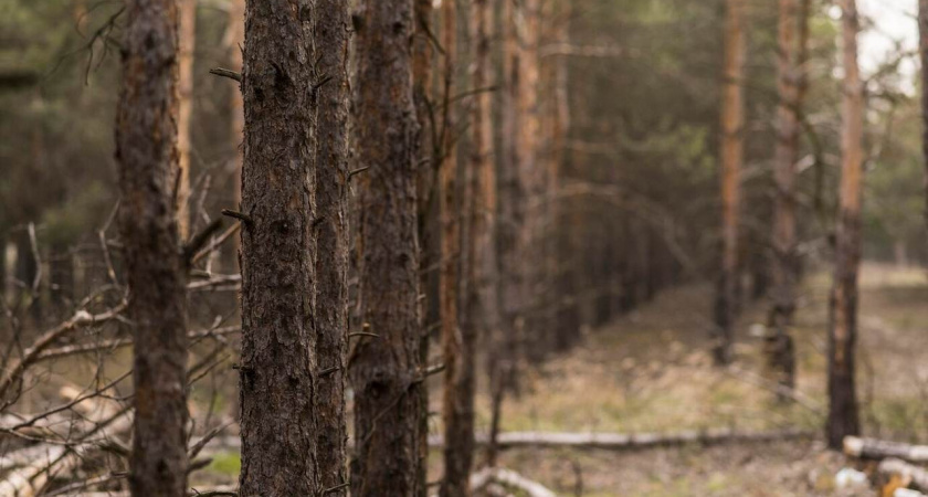 Охотникам запретили подходить с оружием к липецкому аэродрому