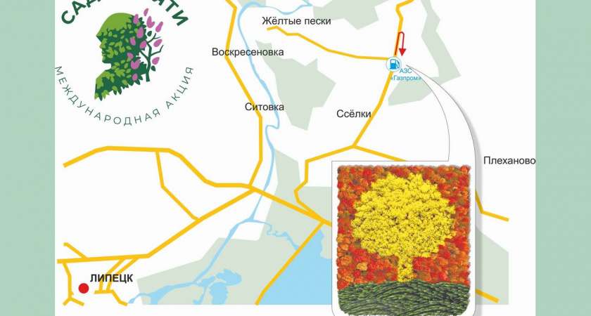 Геоглиф «Герб Липецкой области» посадили в районе села Капитанщино