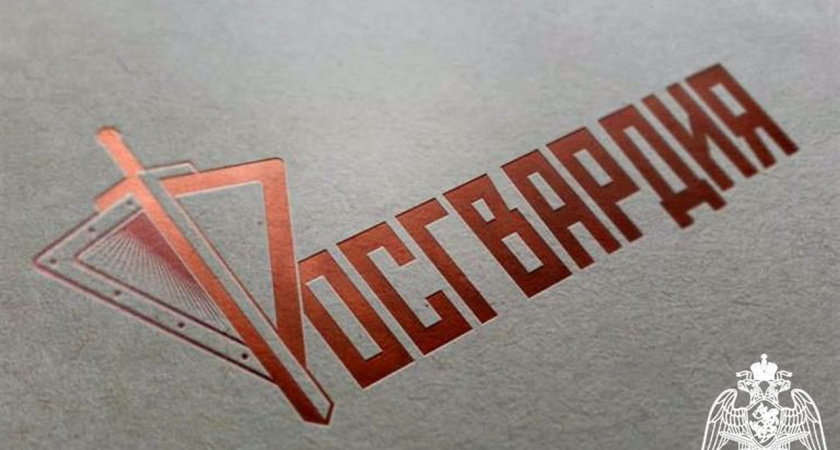 Росгвардейцы выдали липчанам более 4500 лицензий и разрешений на оружие