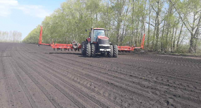 Майские заморозки практически не изменили структуру посевной площади в Липецкой области 