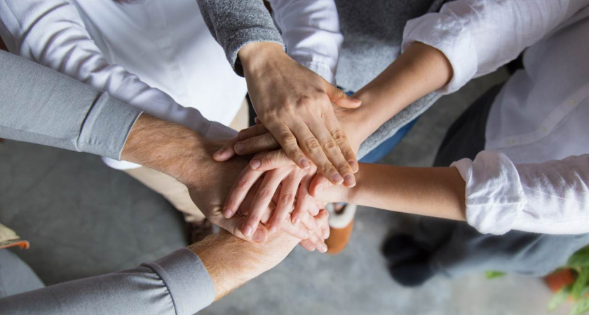 Каждый второй липчанин утверждает, что ему важны успешные результаты коллектива