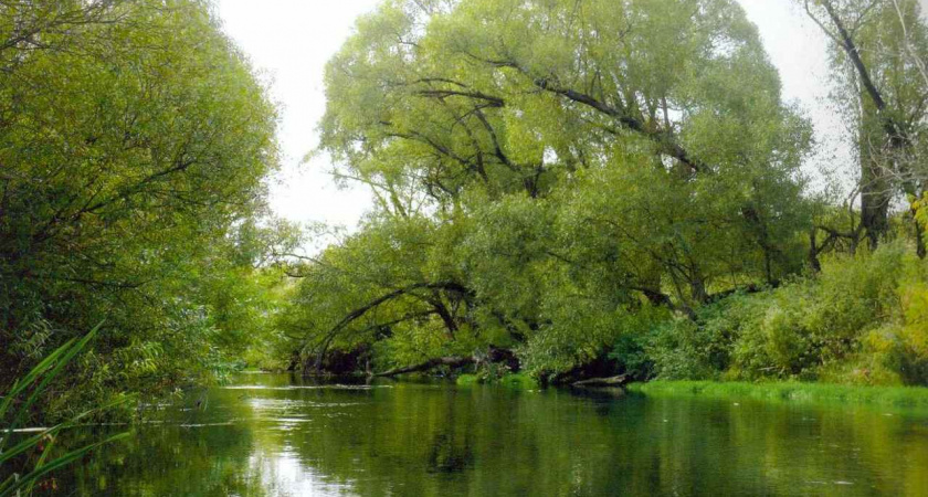 В Липецкой области за 454 млн рублей отремонтируют три моста