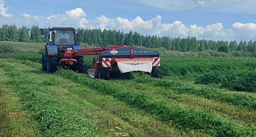 Липецкие аграрии заготовили 500 тонн сена для сельхозживотных