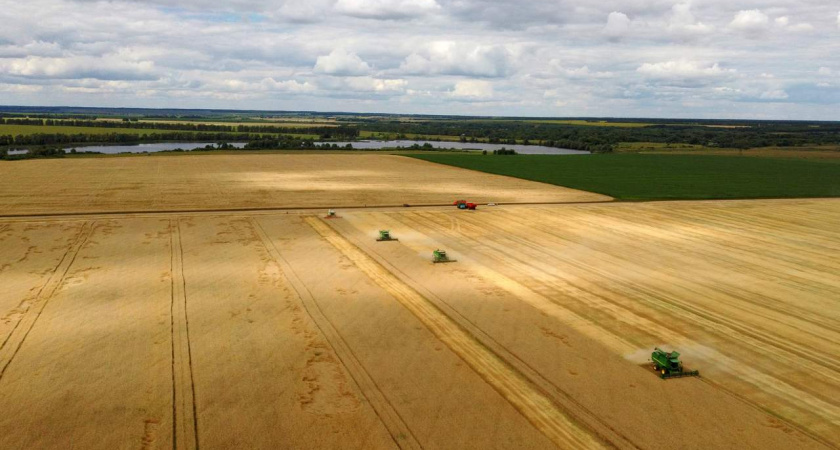 Липецкие аграрии получили 2 млрд рублей господдержки