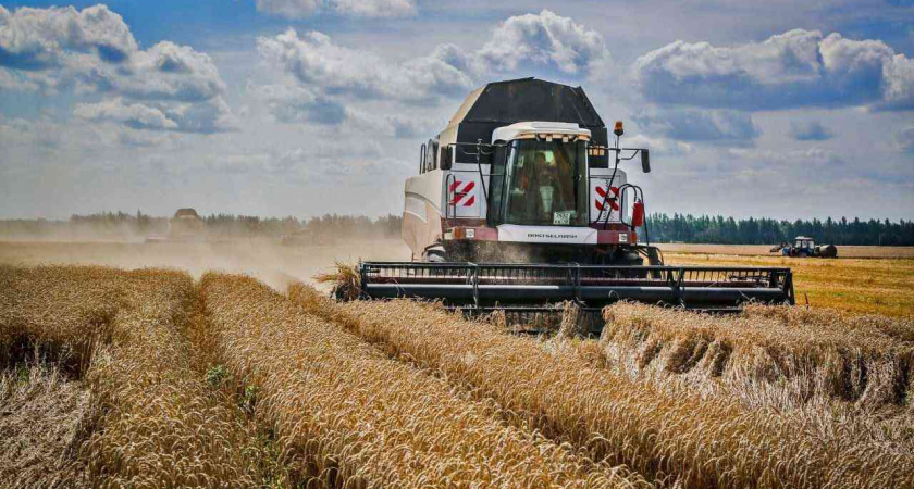 Липецкие аграрии приступили к уборочным работам