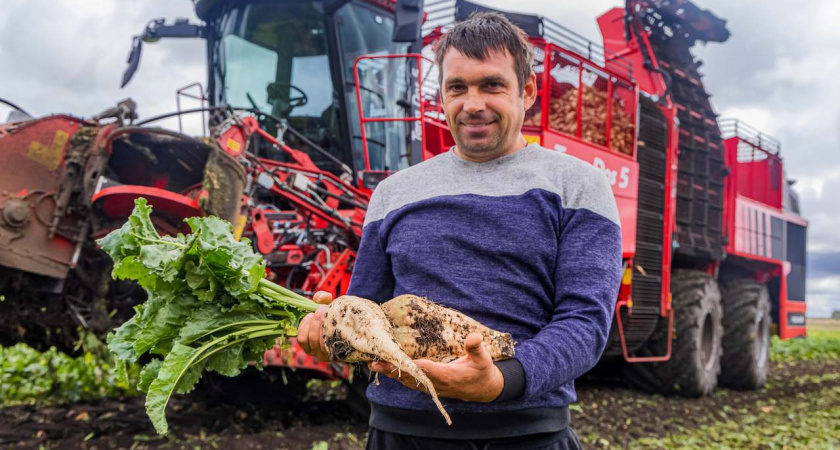 Липецкие аграрии собрали 3 млн тонн сахарной свеклы