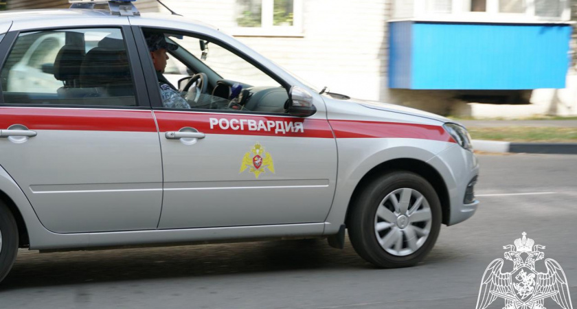 Росгвардейцы нашли двух потерявшихся детей в Липецке