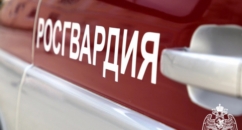 Липецкие Росгвардейцы в октябре совершили 803 выезда по сигналам «Тревога»