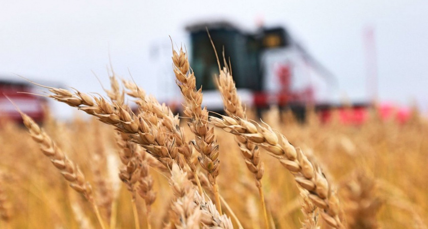 На развитие АПК и сельских территорий Липецкой области направят 6,5 млрд рублей