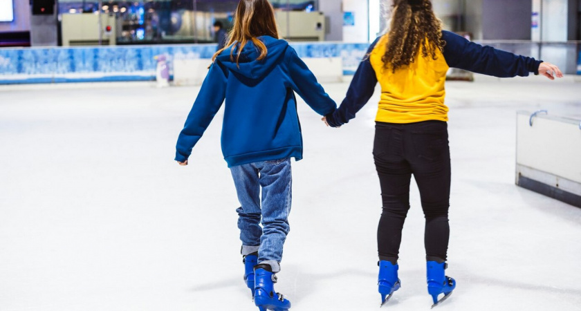 Ледовый дворец в Лебедяни построит депутат липецкого горсовета 