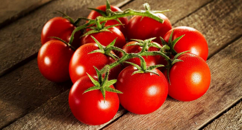 В Липецкой области в январе выращено 8300 тонн томатов