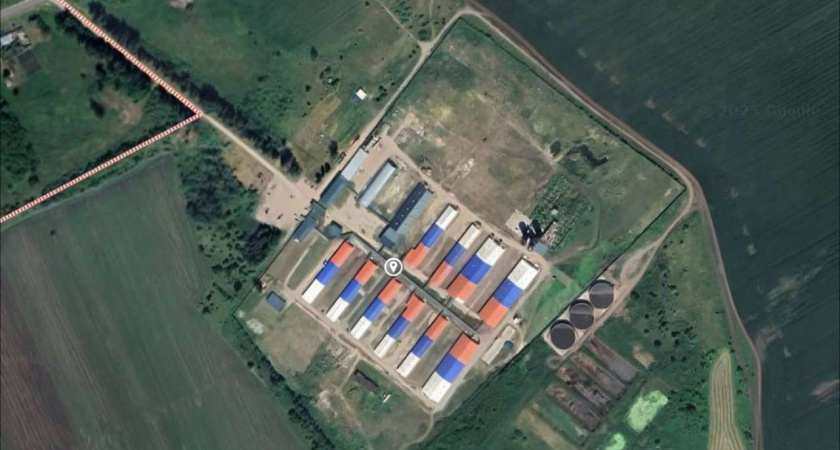 Дорожник продает свинокомплекс под Липецком за 2,2 млрд рублей