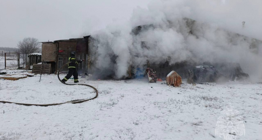 В Липецкой области горел приют для собак