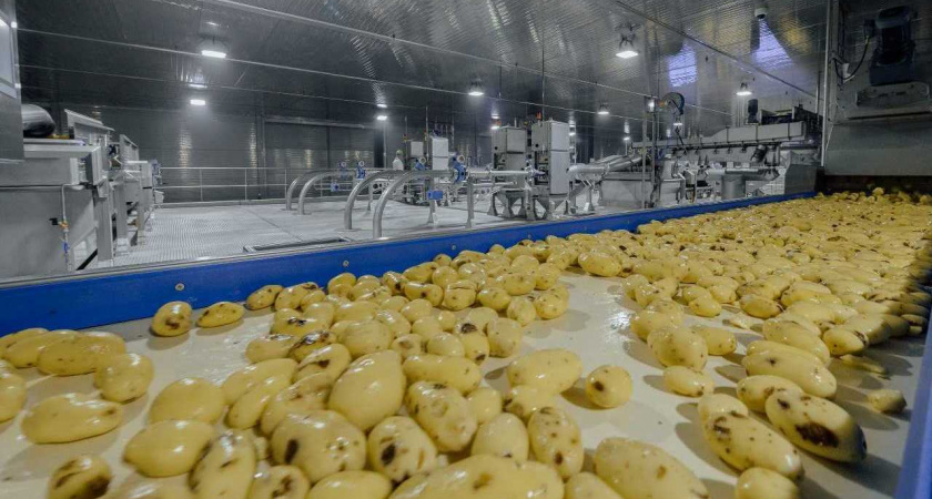 Липецкие пищевые и перерабатывающие предприятия отгрузили и продали продукции на 313 млрд рублей